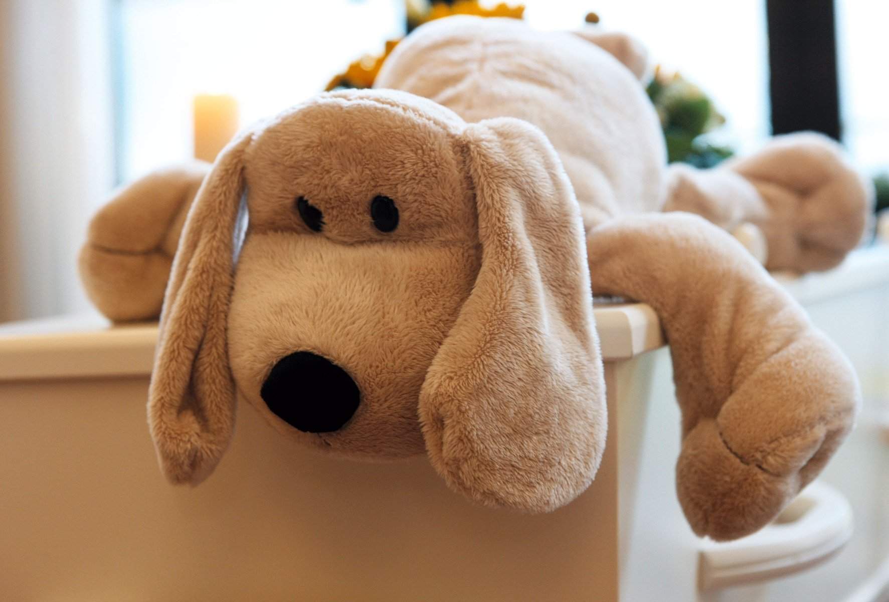 Knuffel op kinderkist Een knuffel op de kinderkist